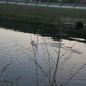 Meet your Posher, Carmen